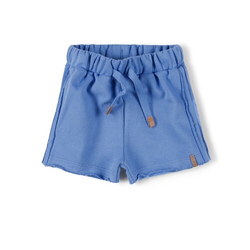 Nixnut Basic Short - Sky