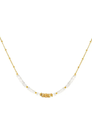 Stainless steel necklace with shell Gold Stainless Steel