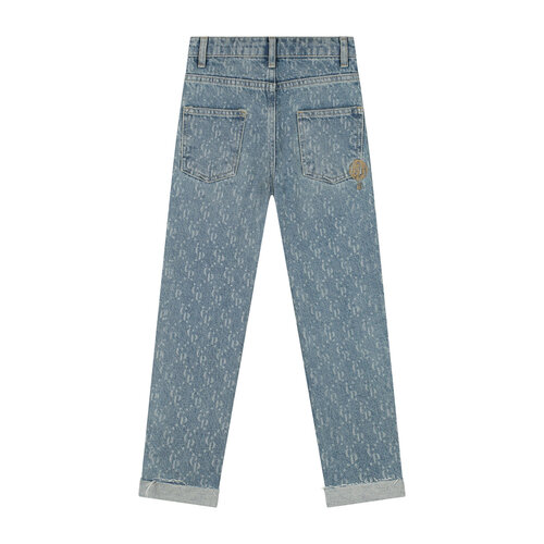 Charlie Petite Hidde Jeans - CP Print Light