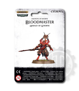 Age Of Sigmar Bloodmaster Herald Of Khorne