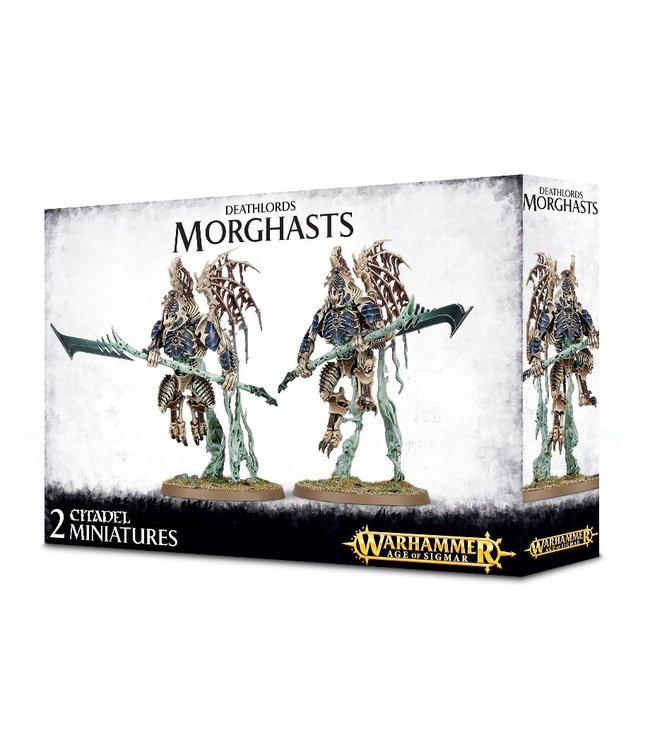 Age Of Sigmar Deathlords Morghasts