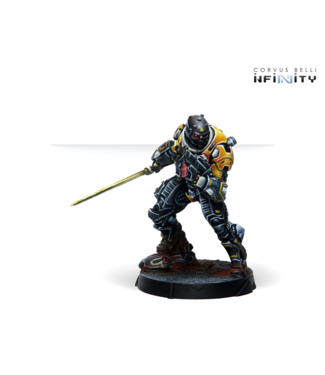 Infinity Hulang Shocktroopers (Combi Rifle+Light FT)