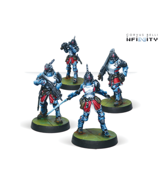 Infinity Magister Knights