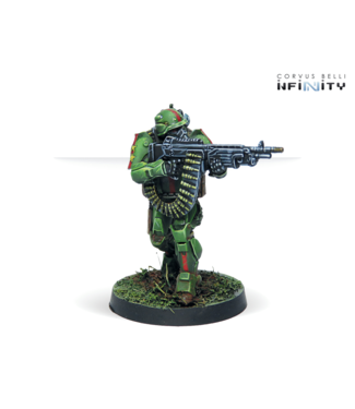 Infinity Veteran Kazaks (AP HMG)