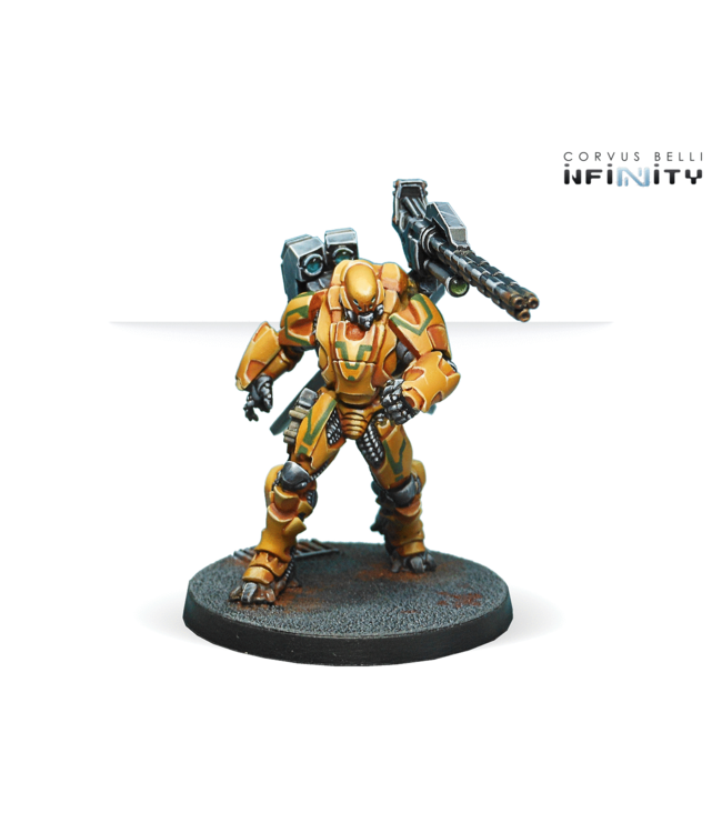 Infinity Yan Huo Invincibles (HMC)