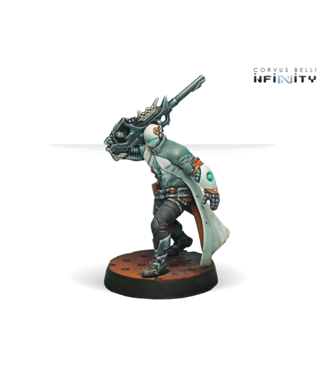 Infinity Sin-Eater Observants (Sniper)