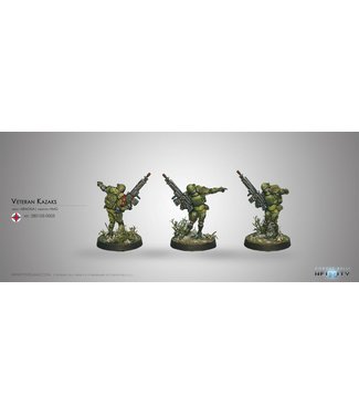 Infinity Veteran Kazaks (AP HMG)