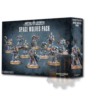 Warhammer 40000 Space Wolves Grey Hunters