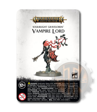 Citadel Soulblight Gravelords: Vampire Lord