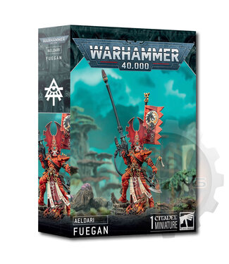 Warhammer 40000 Aeldari: Phoenix Lord Fuegan