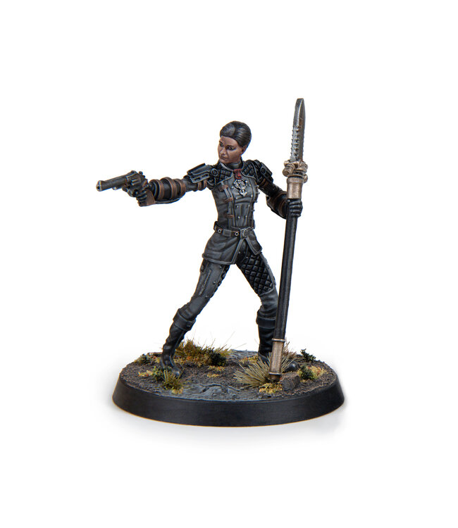 Fallout Brotherhood Of Steel- Appalachian Command