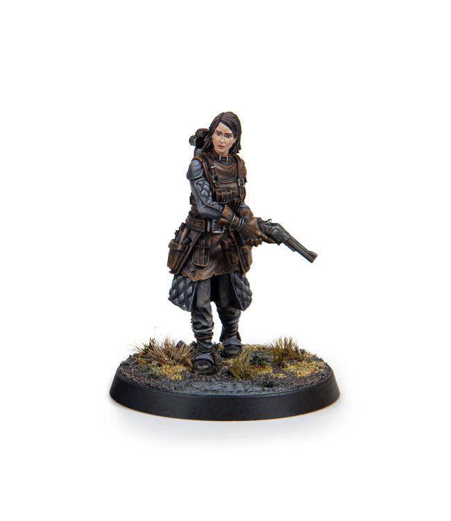 Fallout Brotherhood Of Steel- Appalachian Command