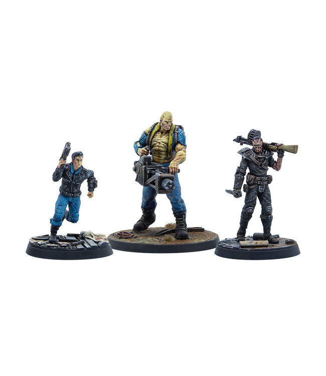 Fallout Survivors: Capital Companions