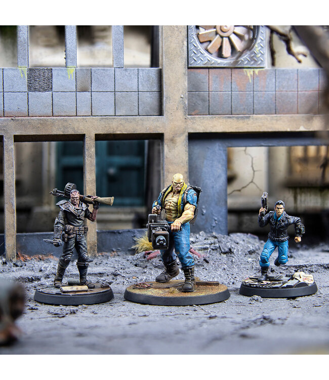 Fallout Survivors: Capital Companions