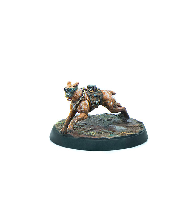 Fallout Raiders: Pack Top Dogs