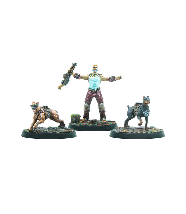 Fallout Raiders: Pack Top Dogs