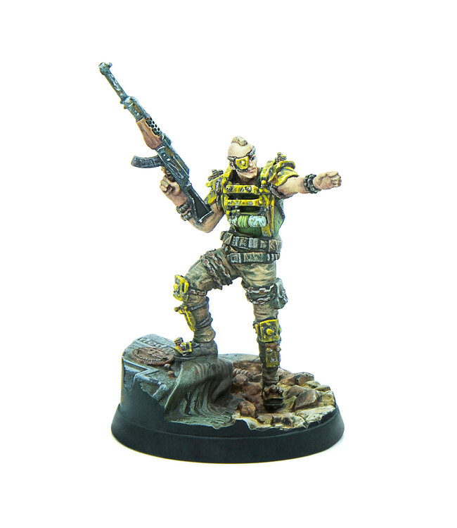 Fallout Raiders: Overlords