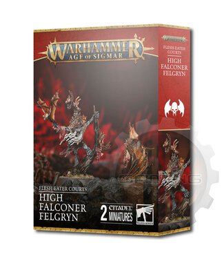 Age Of Sigmar Flesh-Eater Courts:High Falconer Felgryn