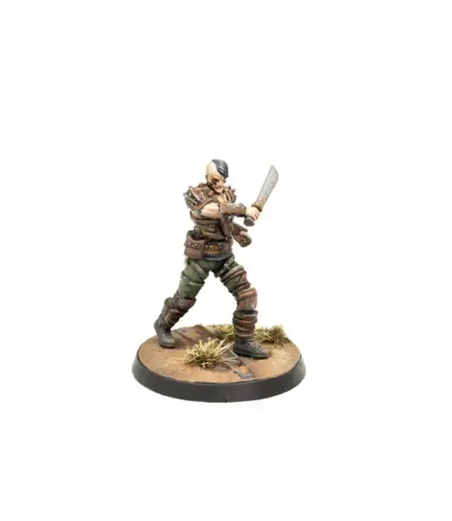 Fallout Raiders: Raiders, Scavvers & Psychos