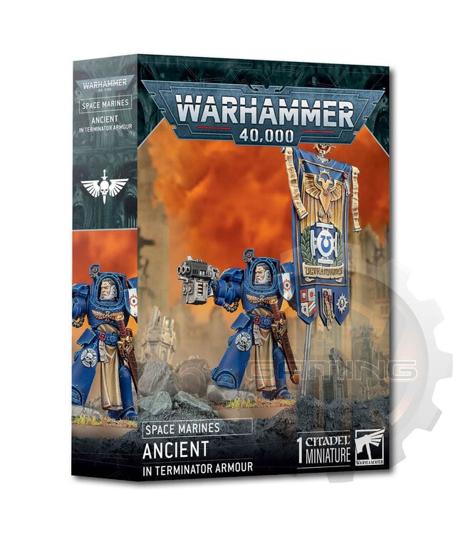 Warhammer 40000 Space Marines: Ancient In Terminator Armour