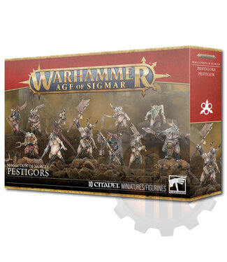 Age Of Sigmar Maggotkin Of Nurgle: Pestigors
