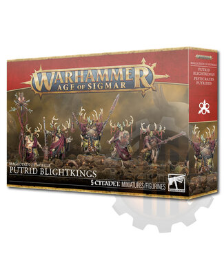 Age Of Sigmar Maggotkin Of Nurgle: Putrid Blightkings