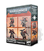 Warhammer 40000 Chaos Space Marines: Red Corsairs Upgrades & Transfers