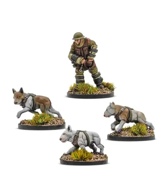 Konflikt '47 Cerberus Squad 1