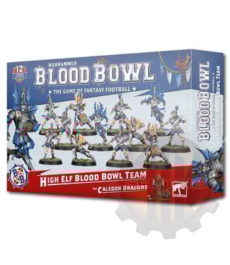 Blood Bowl Blood Bowl: High Elf Blood Bowl Team