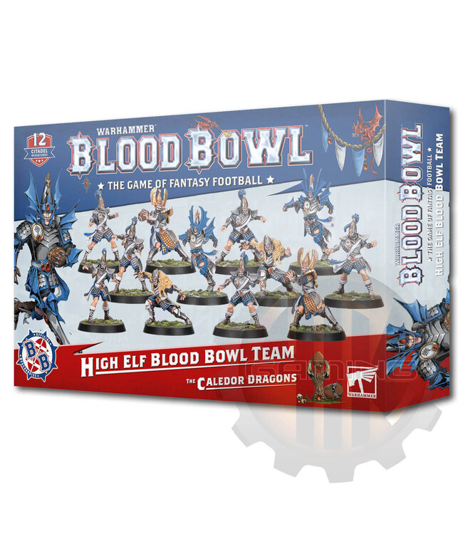 Blood Bowl Blood Bowl: High Elf Blood Bowl Team
