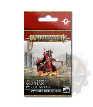 Age Of Sigmar Cities Of Sigmar: Aqshian Pyrocaster