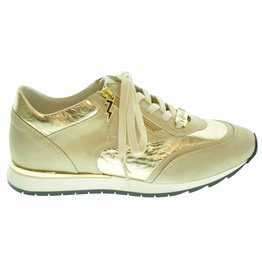 dls sneakers