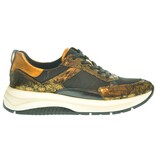 Caprice Caprice Sneaker (37 t/m 41) 252CAP01