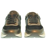 Xsensible Xsensible Golden gate Sneaker (37 t/m 41) 262XEN03