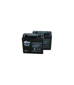 Robomow Jeu de 2 batteries pour RL 2000 (20Ah)