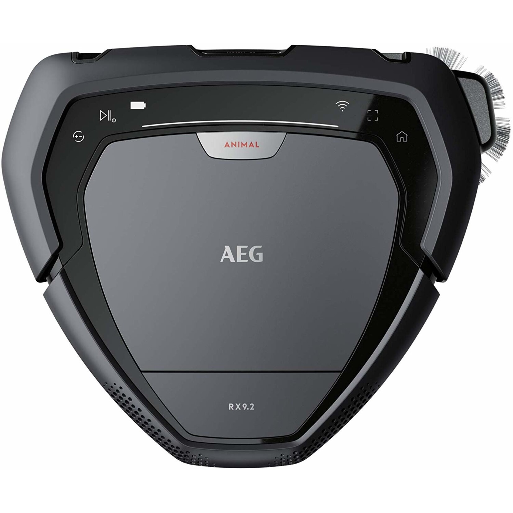 AEG RX9-2-4ANM