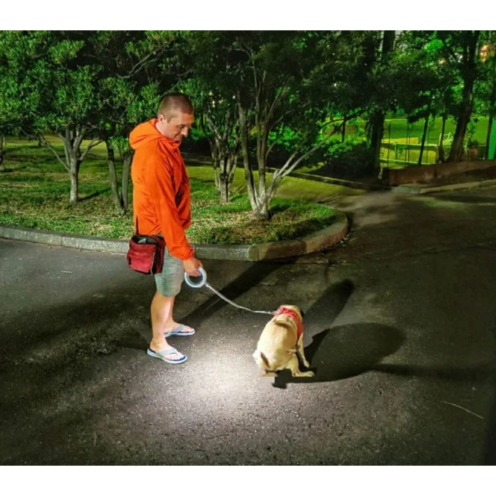 Xiaomi Xiaomi MOESTAR UFO Hondenriem met LED-Verlichting