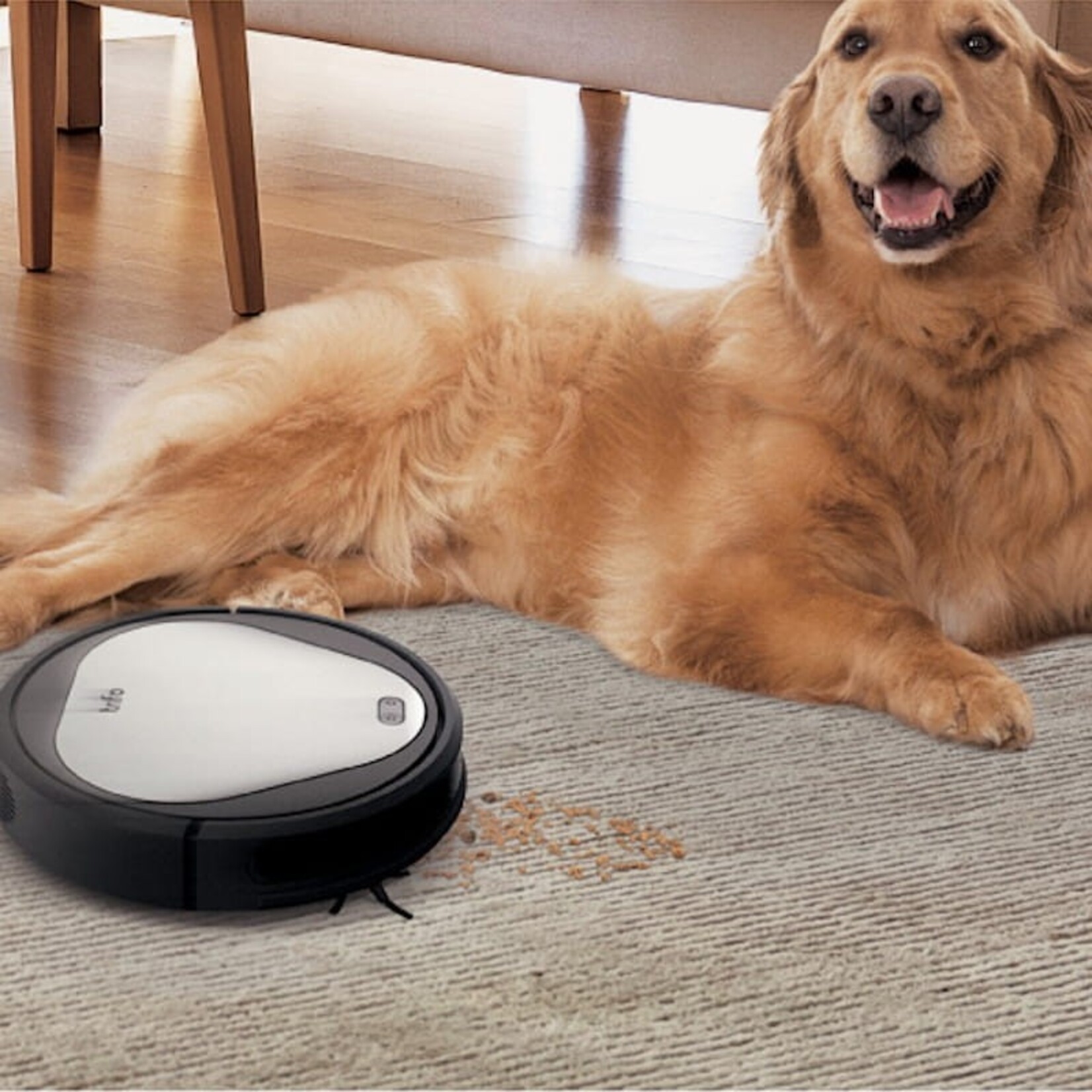 Trifo Emma - Robot Vacuum Cleaner with Surveillance Camera