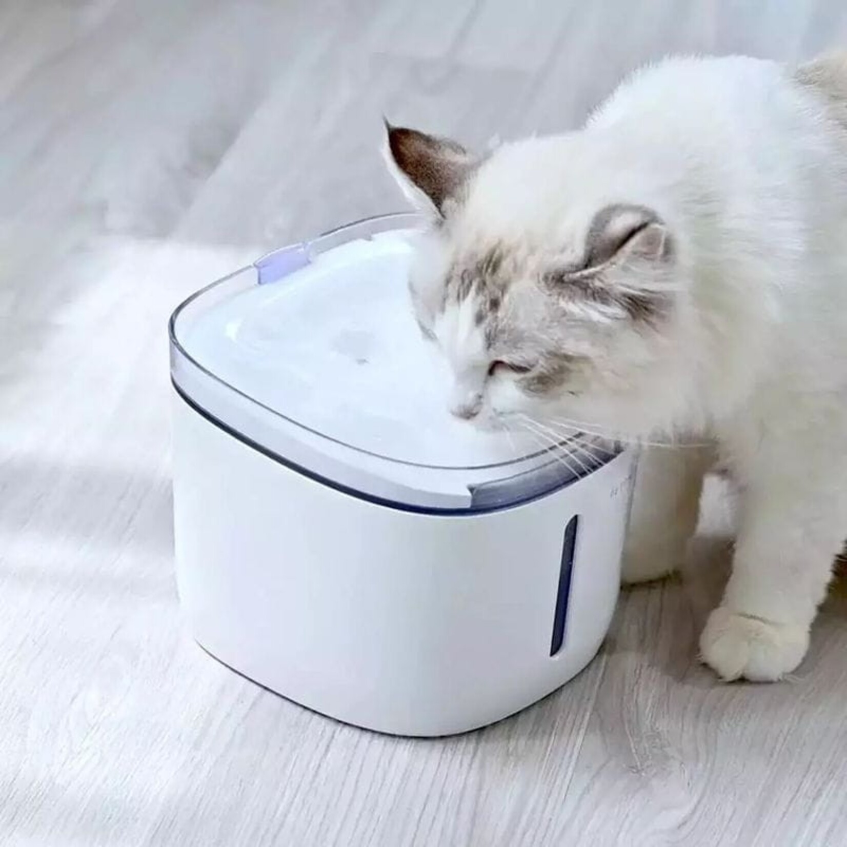 Xiaomi Xiaomi Petoneer Fresco Mini Smart Pet Fountain