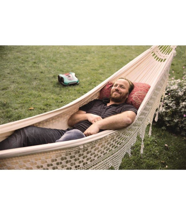 BOSCH Bosch Indego XS 300