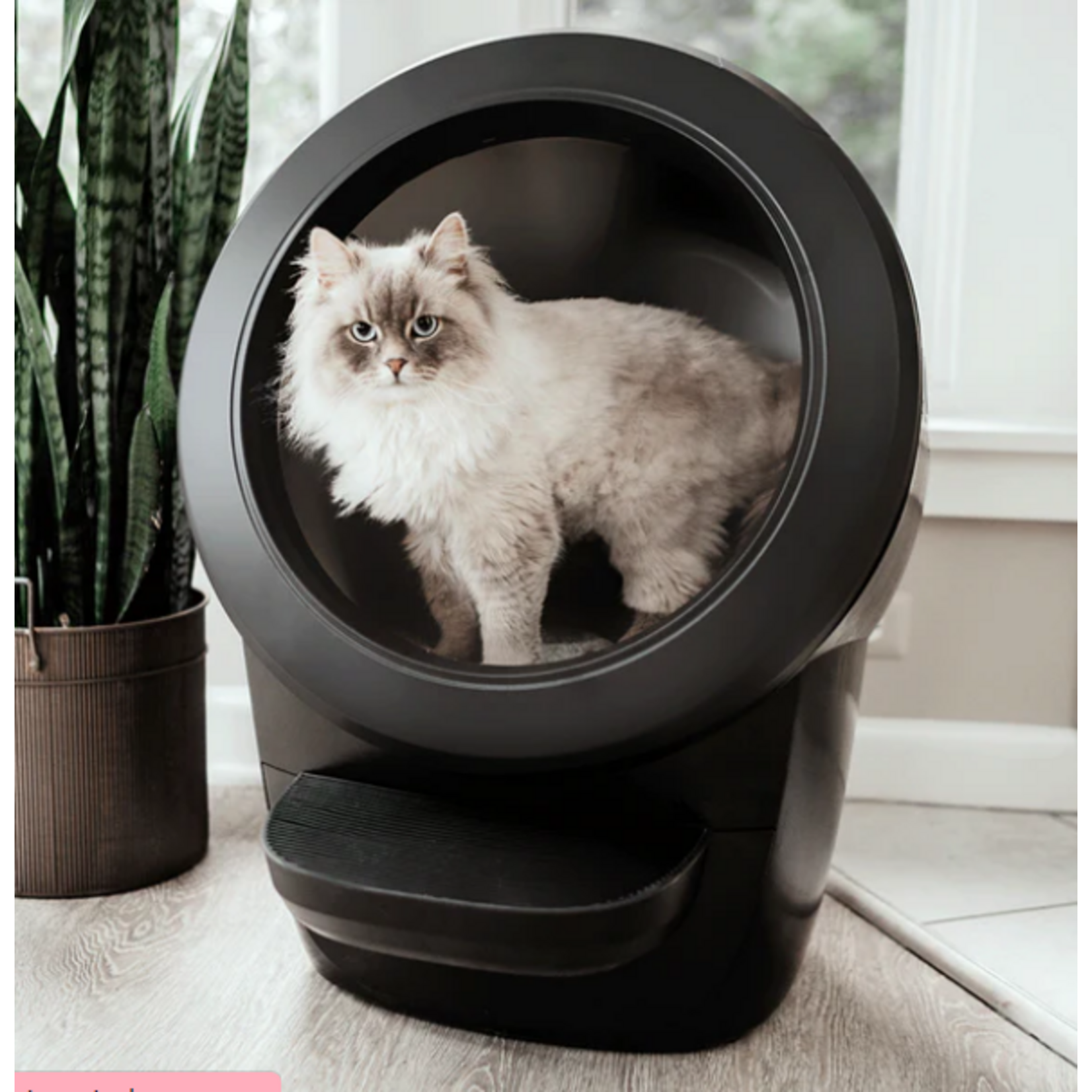 Litter-robot Litter robot 4  Black