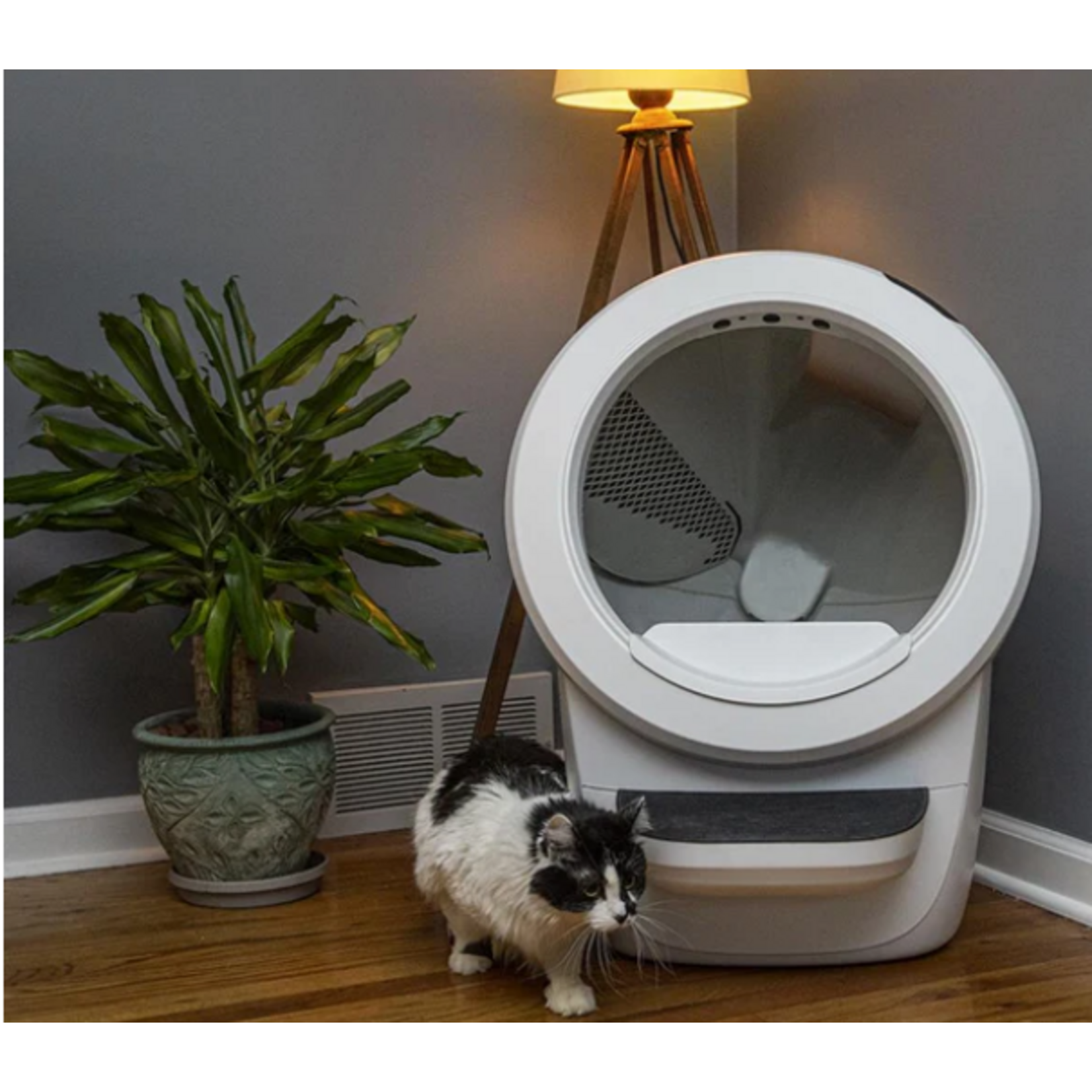 Litter-robot Litter robot 4 White