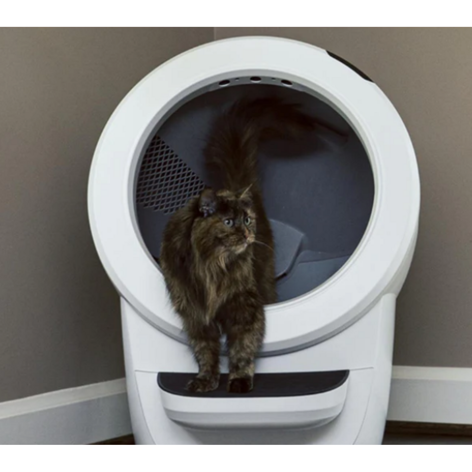 Litter-robot Litter robot 4  Blanc