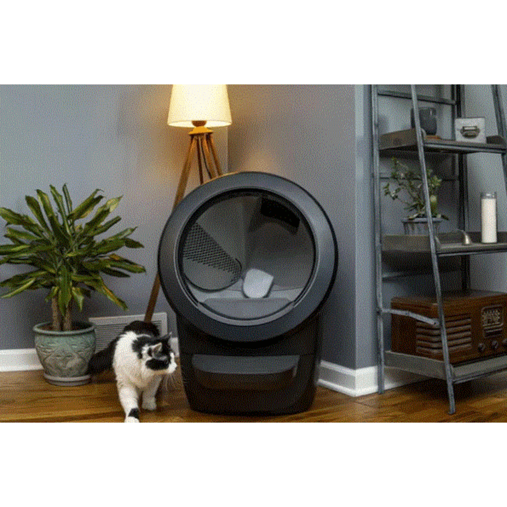 Litter-robot Mini Clôture  Litter-robot noir