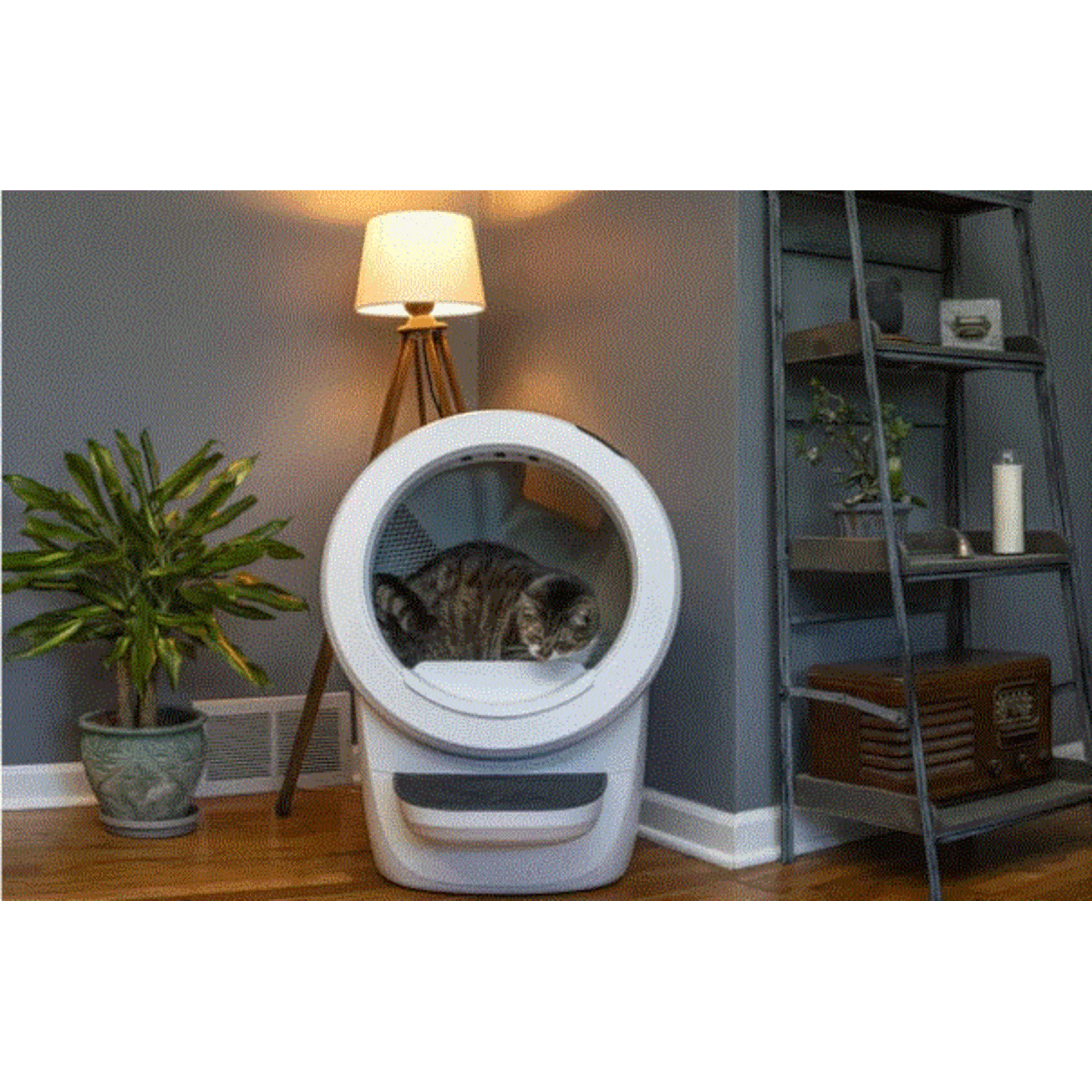 Litter-robot Litter-Robot 4 Carbon Filter (6x)