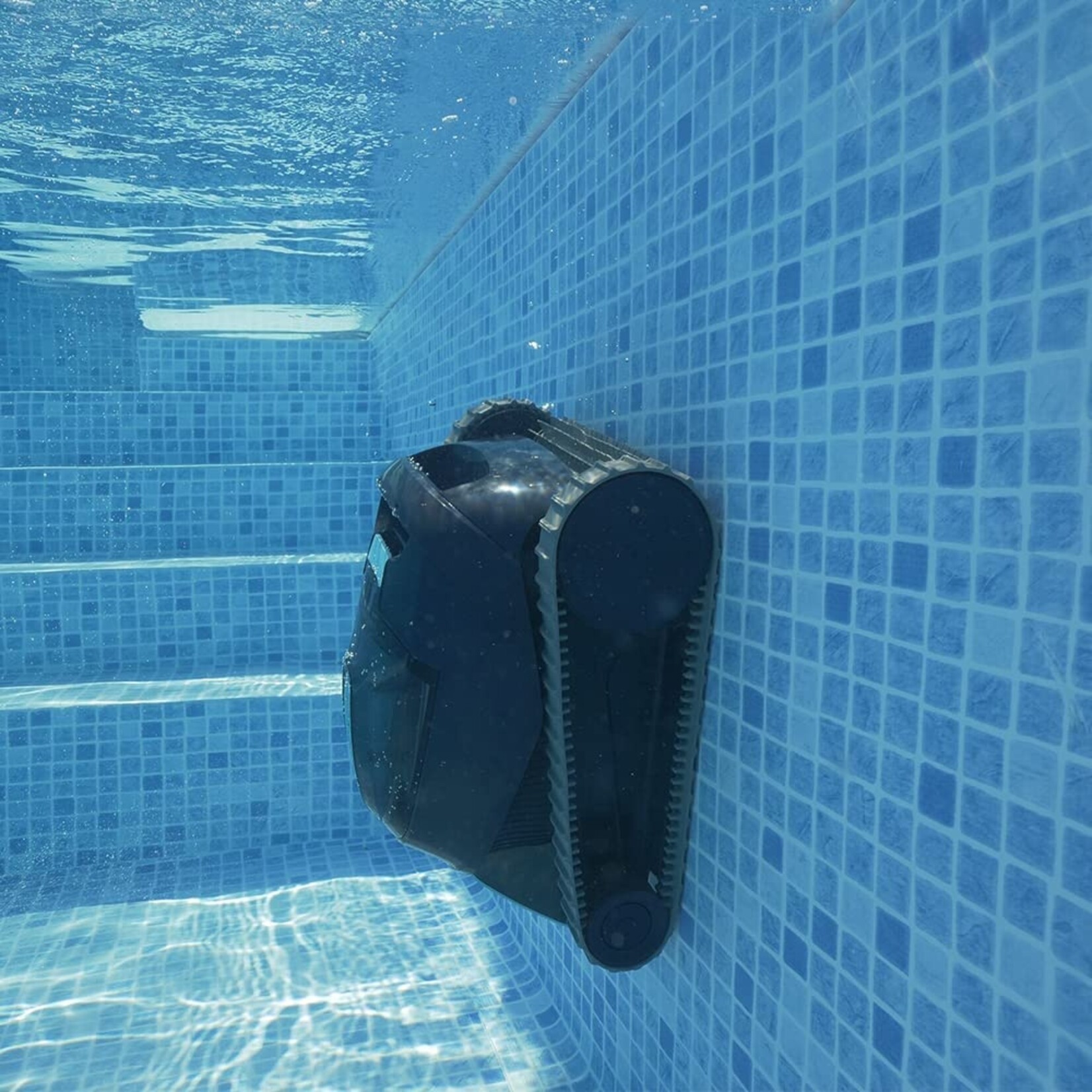 Dolphin  Dolphin Liberty 300