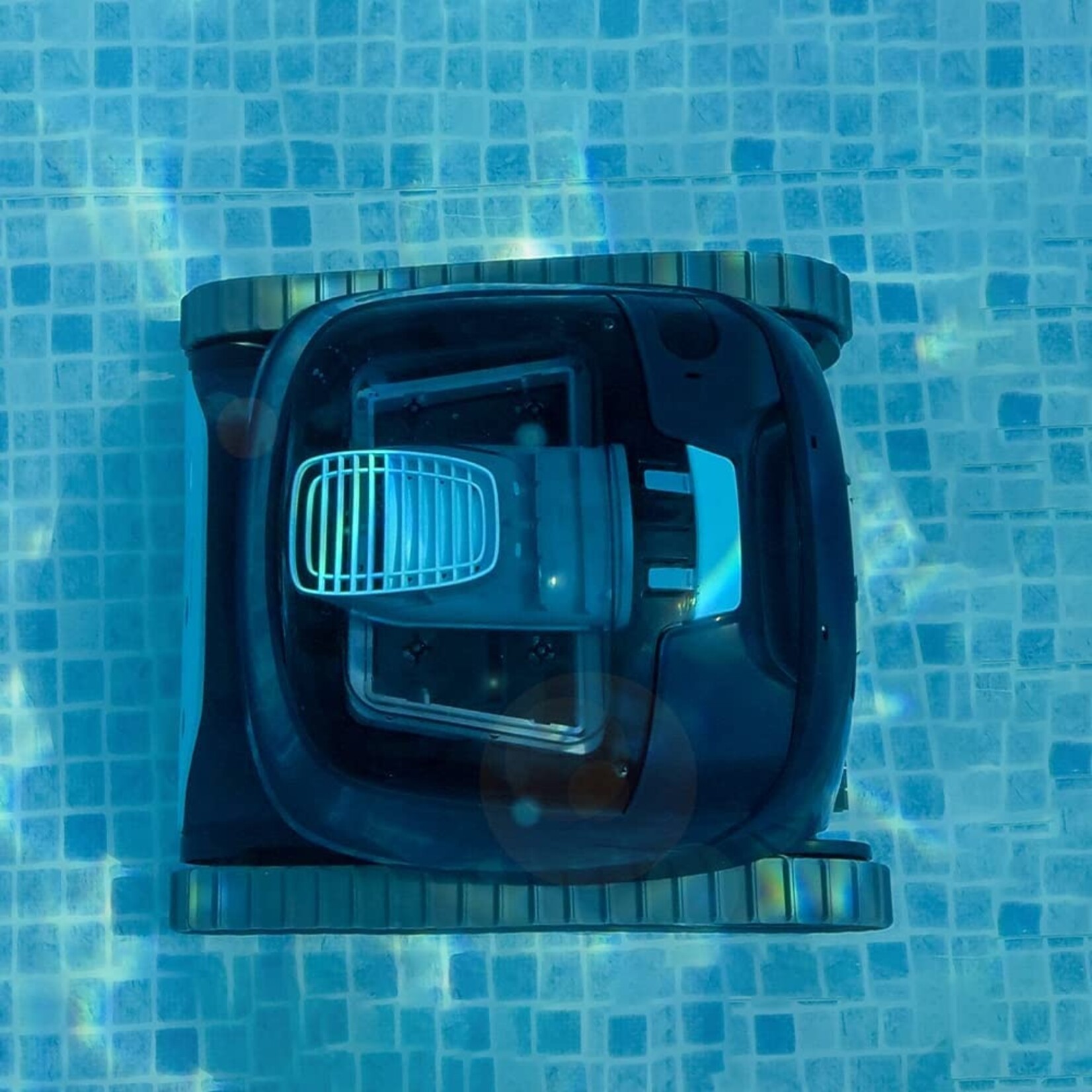 Dolphin  Dolphin Liberty 200