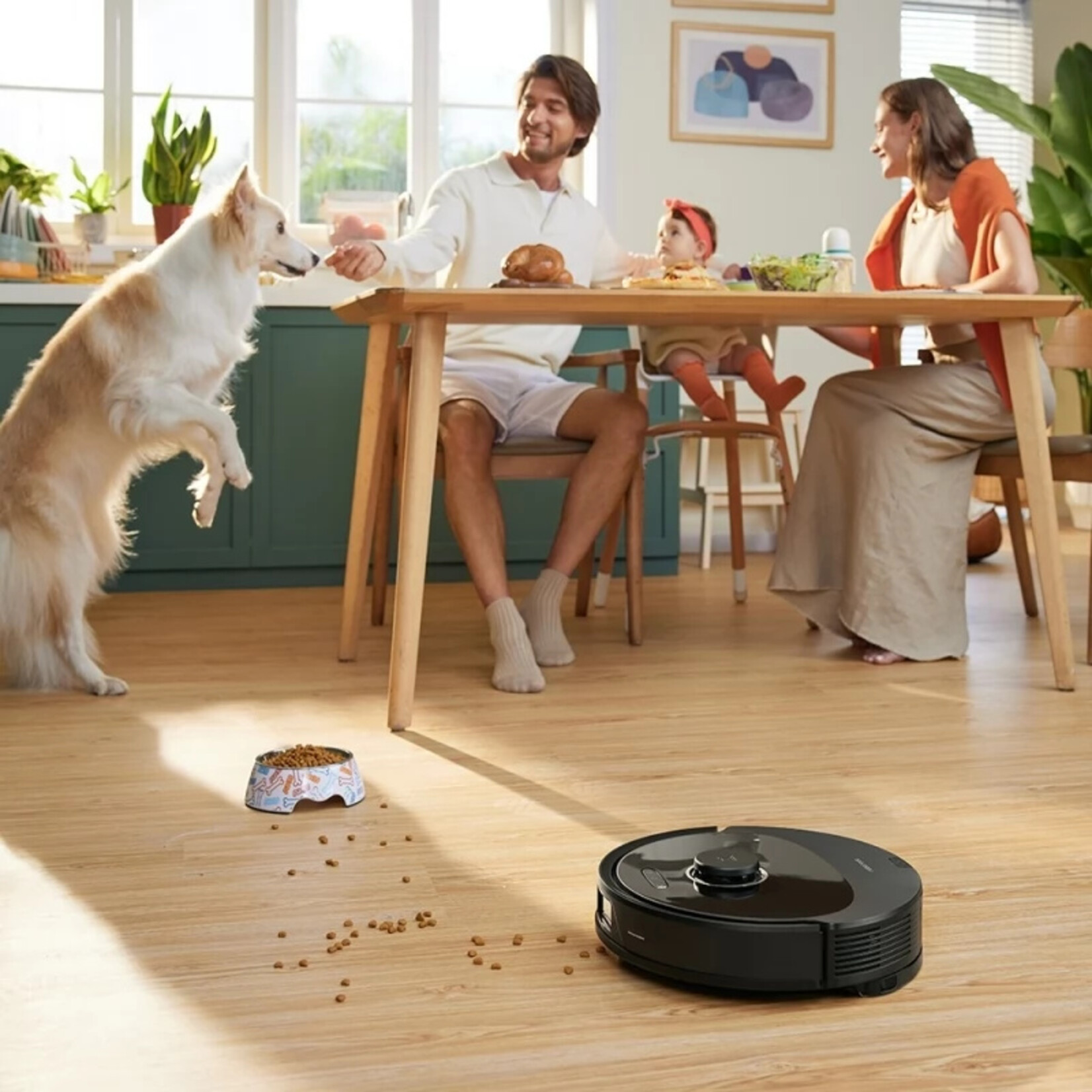 Roborock Roborock Q8 Max Plus  Black