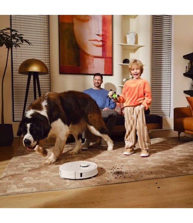 Roborock Roborock  Q Revo MaxV