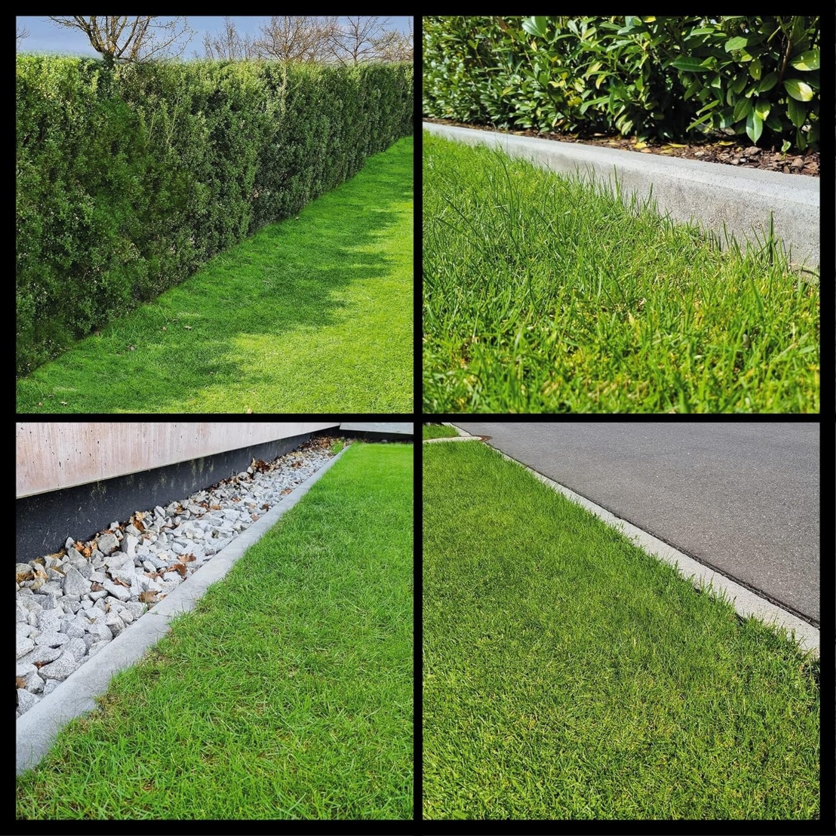 Einhell Einhell FREELEXO CAM 500 Power X-Change